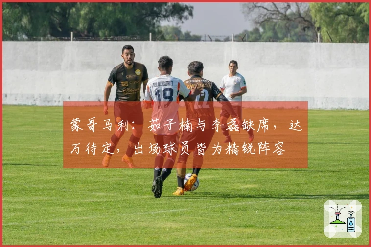 蒙哥马利：茹子楠与李磊缺席，达万待定，出场球员皆为精锐阵容